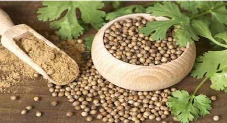 Cumin, coriander and different Indian spices that may gasoline your weight reduction objectives